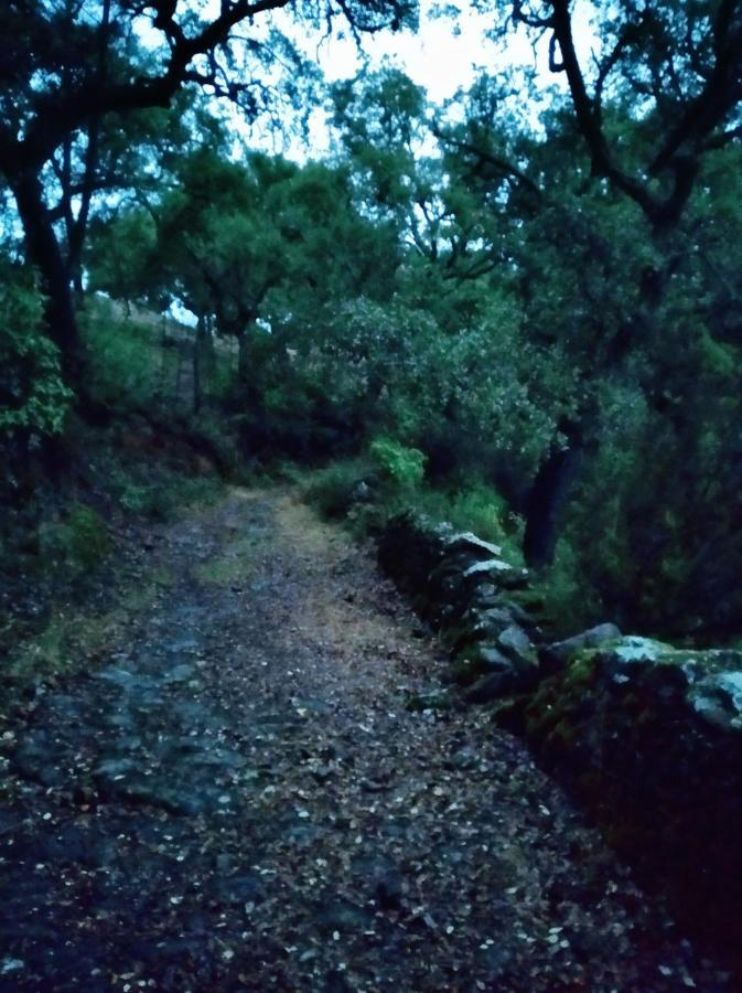 La Afortunaa Valdelarco Εξωτερικό φωτογραφία